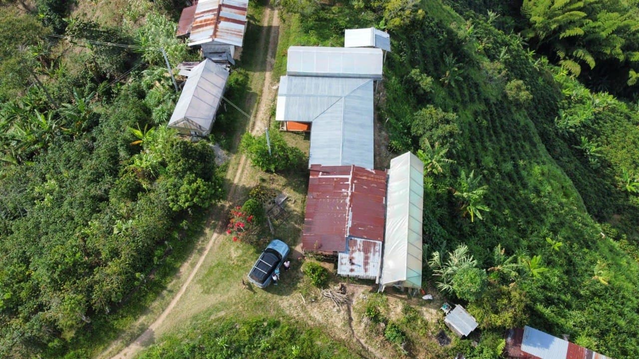 Photo of the Provenance Coffee team and farm